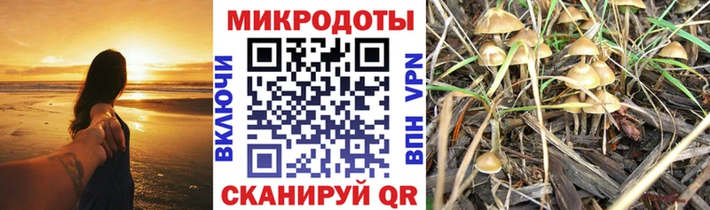 это Telegram  купить наркотик  Сысерть  Псилоцибиновые грибы GOLDEN TEACHER  OMG онион 